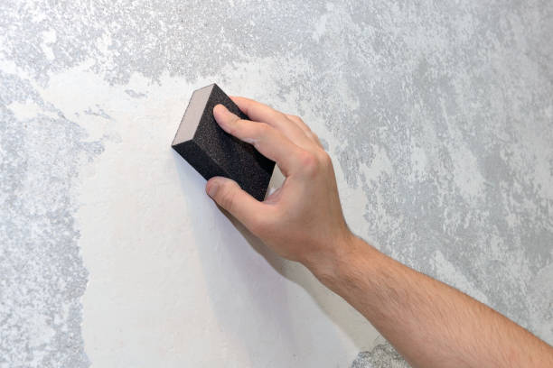 Best Industrial Mold Remediation  in Greensburg, KY