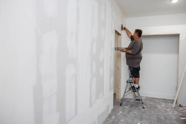 Best Mold Remediation for Healthcare Facilities  in Greensburg, KY