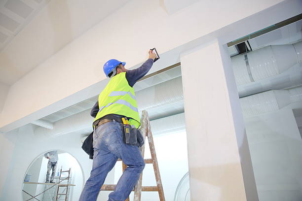 Best Mold Removal for HVAC Installations  in Greensburg, KY
