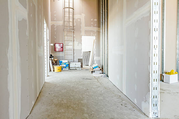 Best Crawl Space Mold Remediation  in Greensburg, KY