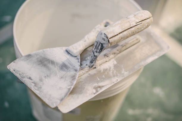 Best Airborne Mold Testing  in Greensburg, KY