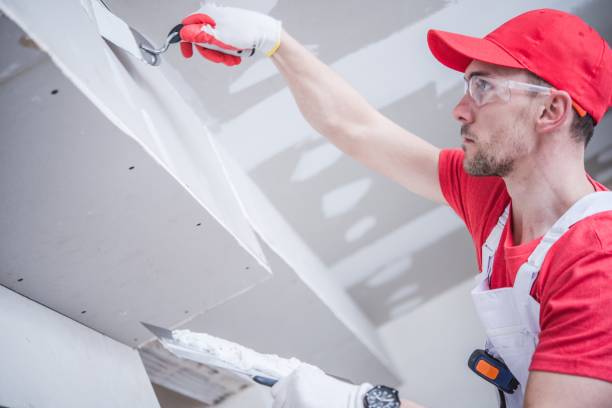 Best Forensic Mold Investigation  in Greensburg, KY